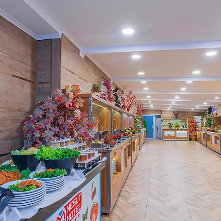 Mesut Otel