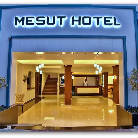 Mesut Alanya