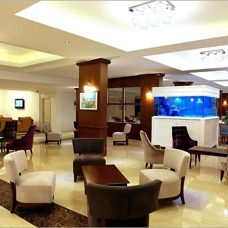 Mesut Alanya